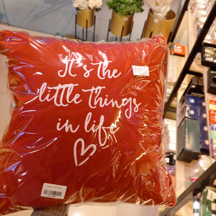 Throw Pillow 4