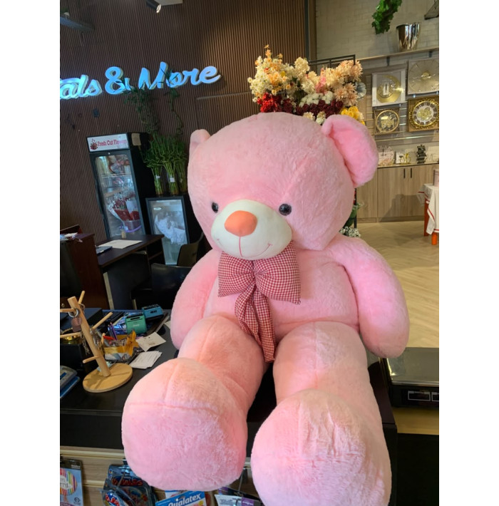Teddy Bear Pink 160cm