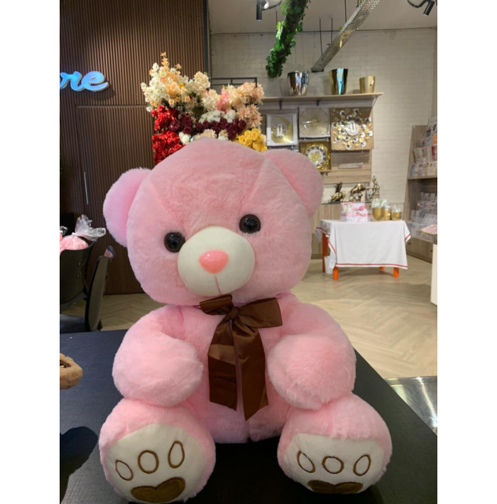 Teddy Bear 50cm Pink