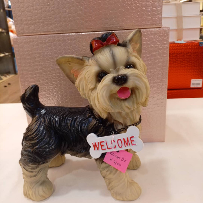 Welcome Dog