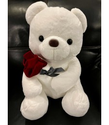 White Teddy with Rose